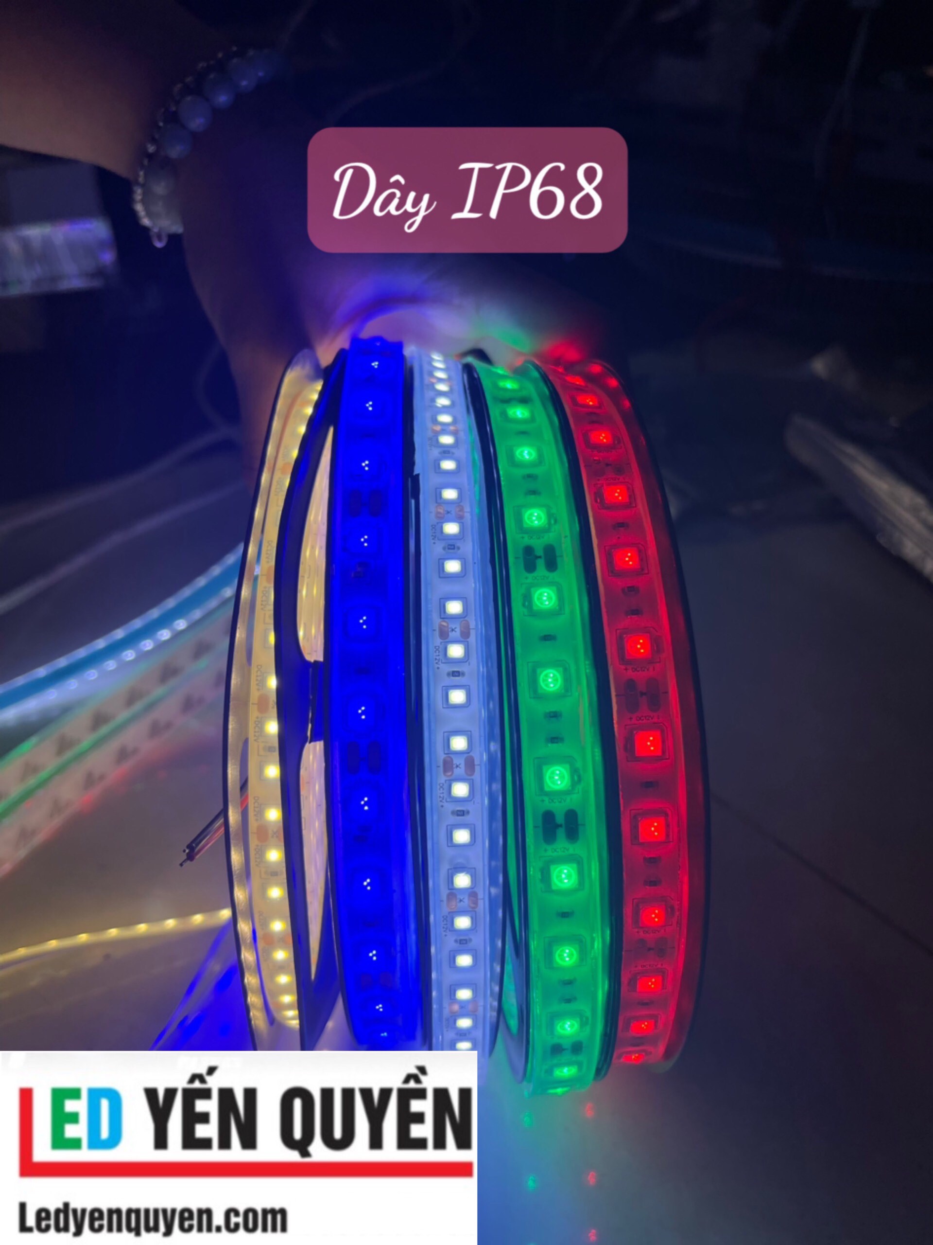 Led dây IP68 5m 12V